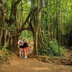 Two visitors standing among the roots of large banyan trees on O'ahu